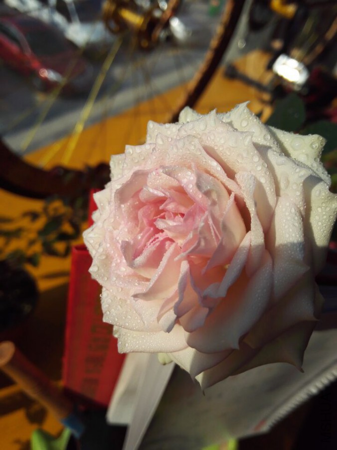 B3A5701D64ACBE75E1007DEBB612B9D0.jpg