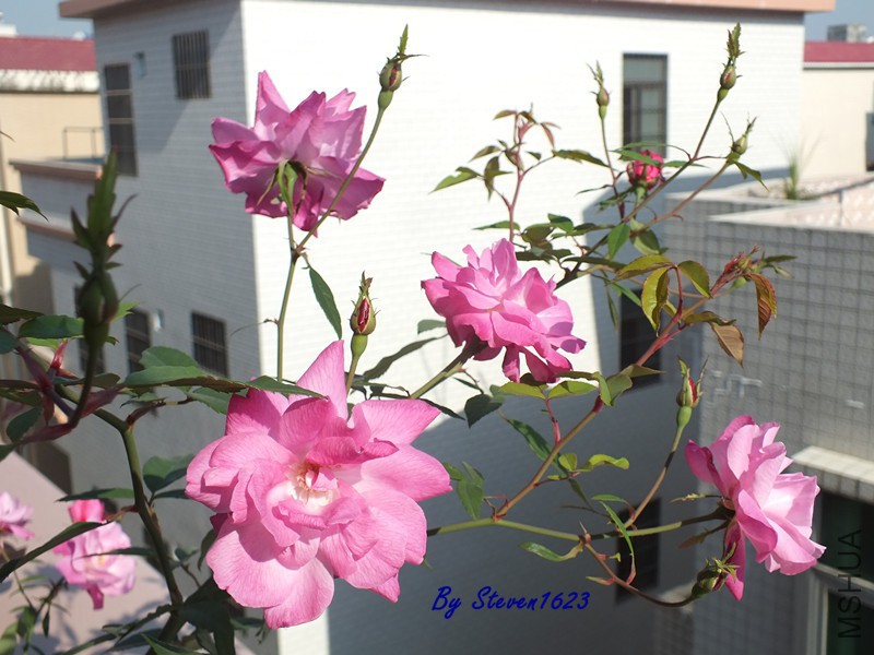 DSCF8734.JPG