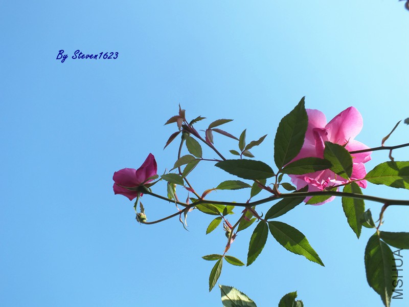 DSCF8740.JPG