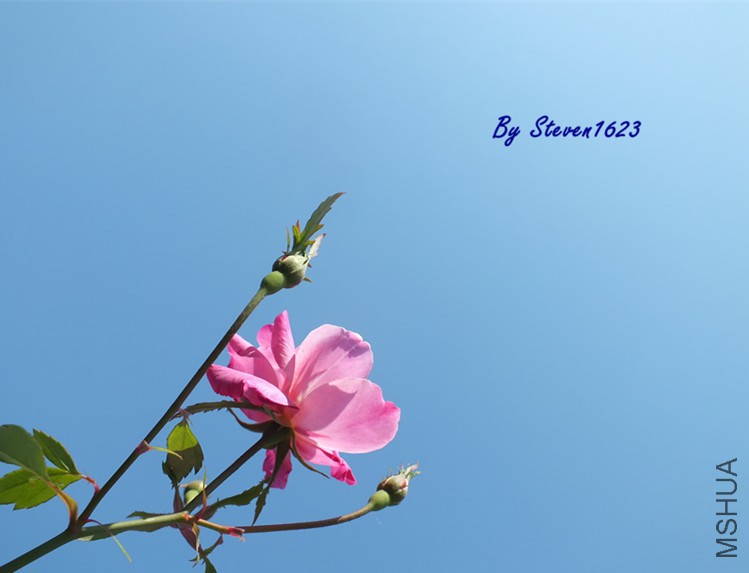 DSCF8745.JPG
