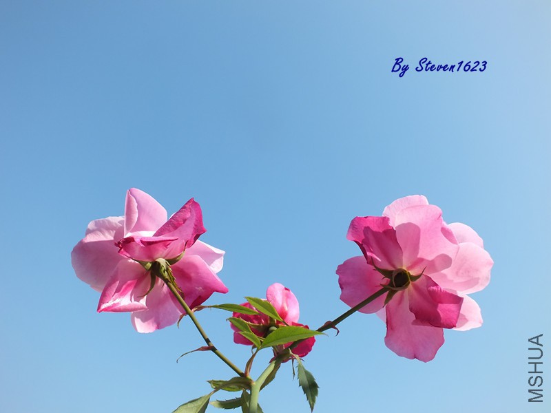 DSCF8748.JPG