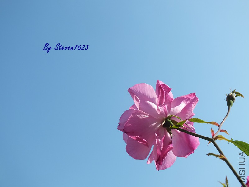 DSCF8746.JPG