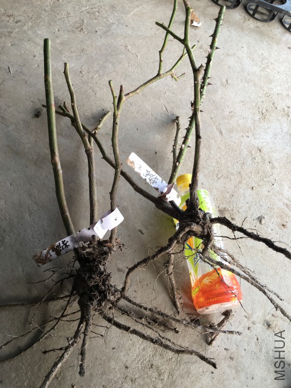 ����2�꣨�ѳ����ο���.jpg