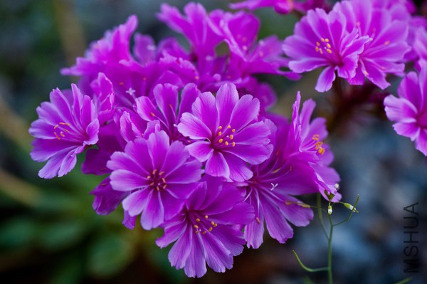 20121127111638_c83xP.thumb.600_0.jpeg