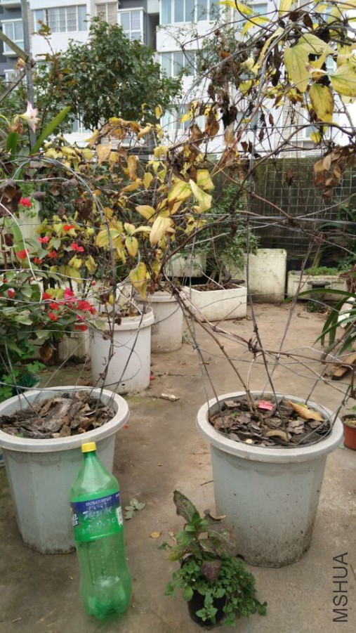 QQͼƬ20151220140339.jpg