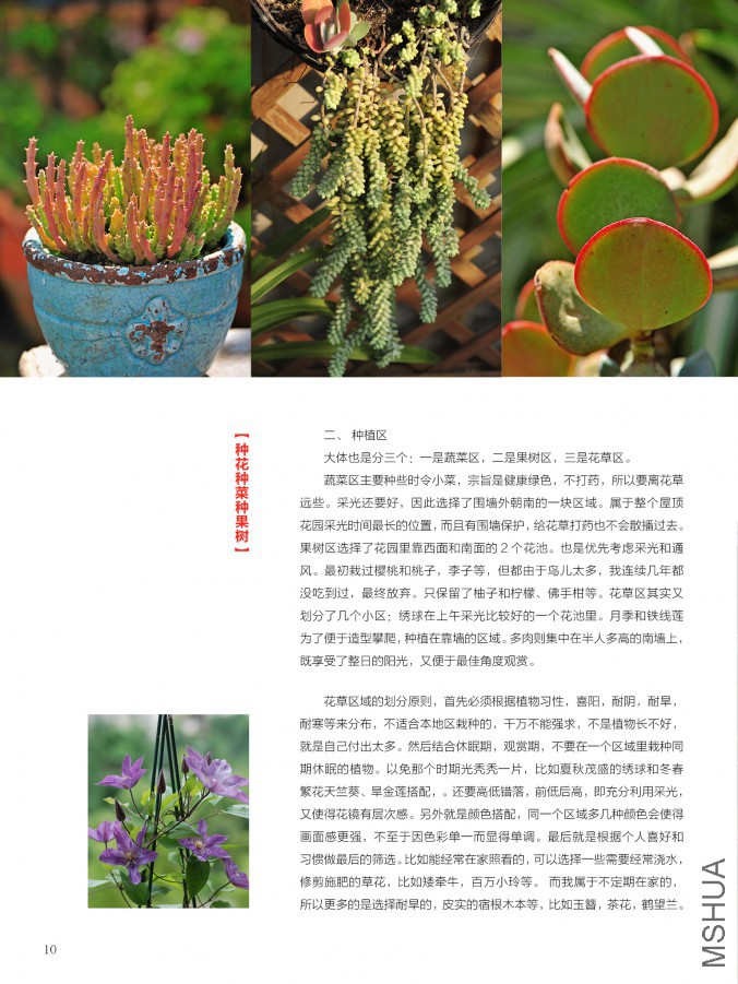 ��Ҳ��ʮ���ڣ������棩10.jpg