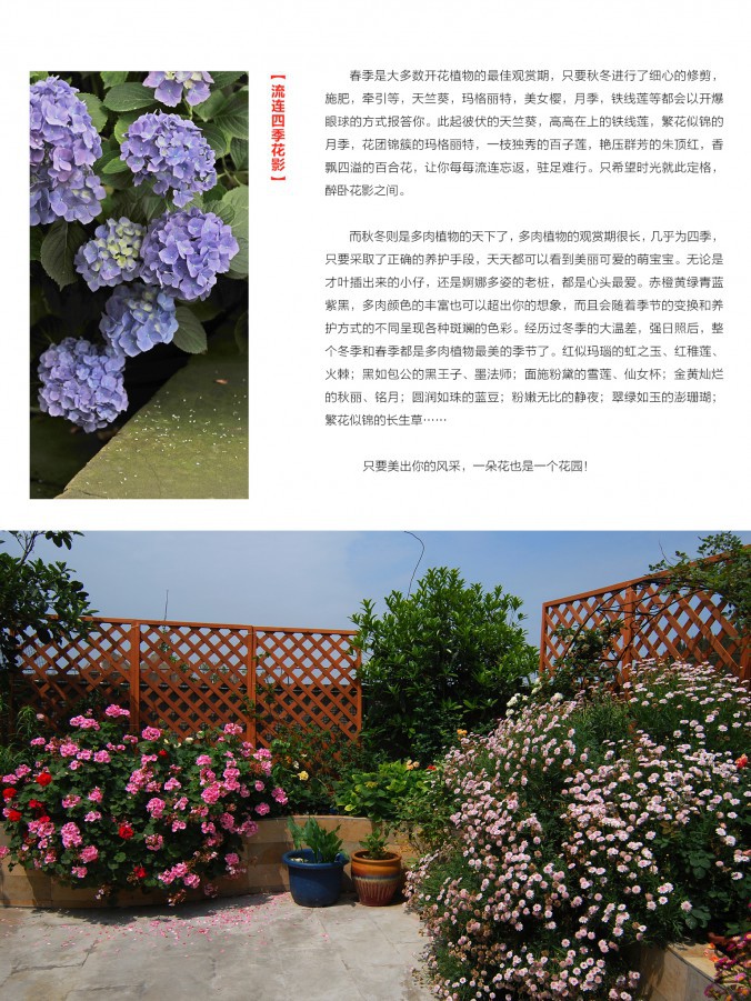 ��Ҳ��ʮ���ڣ������棩11.jpg