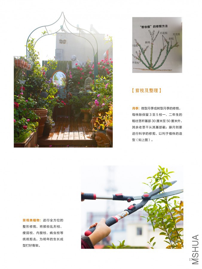 ��Ҳ��ʮ���ڣ������棩17.jpg