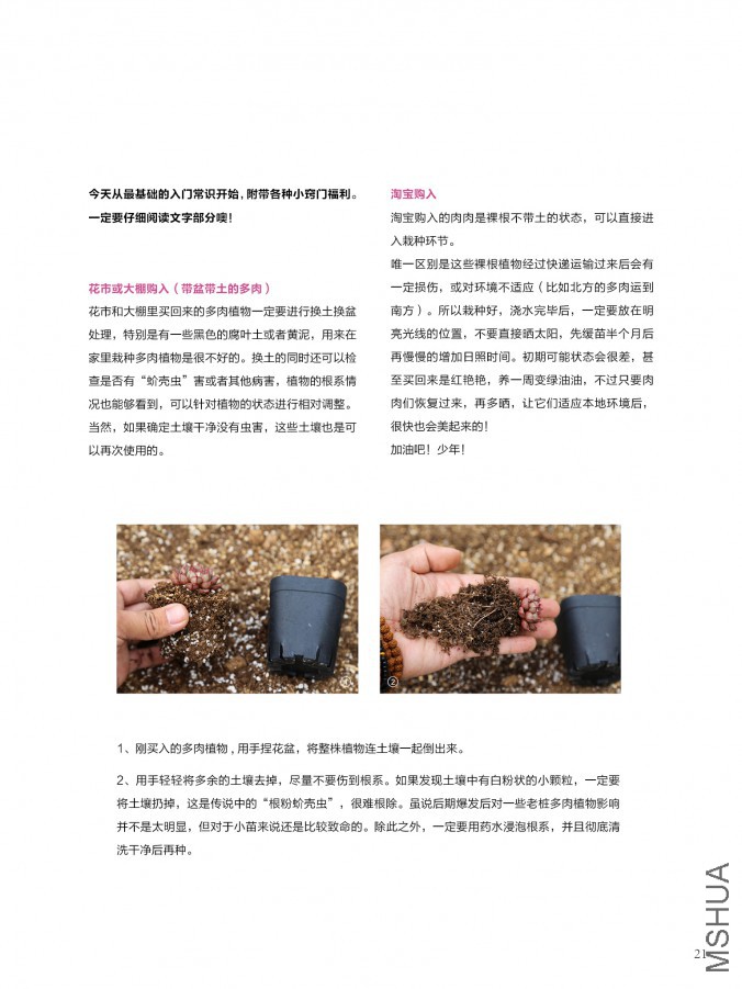 ��Ҳ��ʮ���ڣ������棩21.jpg