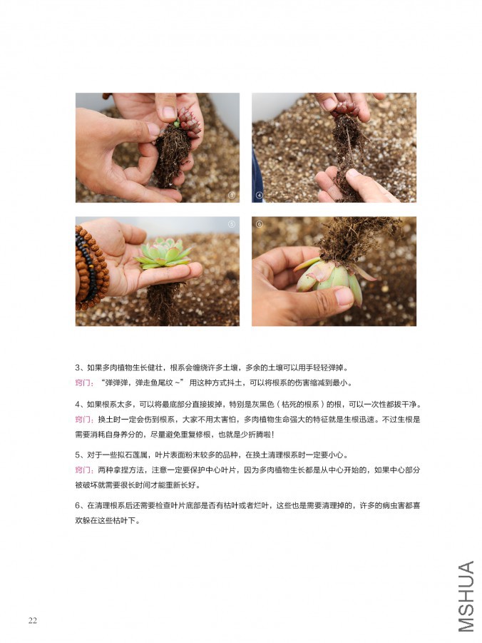 ��Ҳ��ʮ���ڣ������棩22.jpg