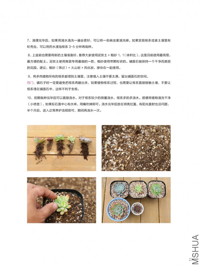 ��Ҳ��ʮ���ڣ������棩23.jpg