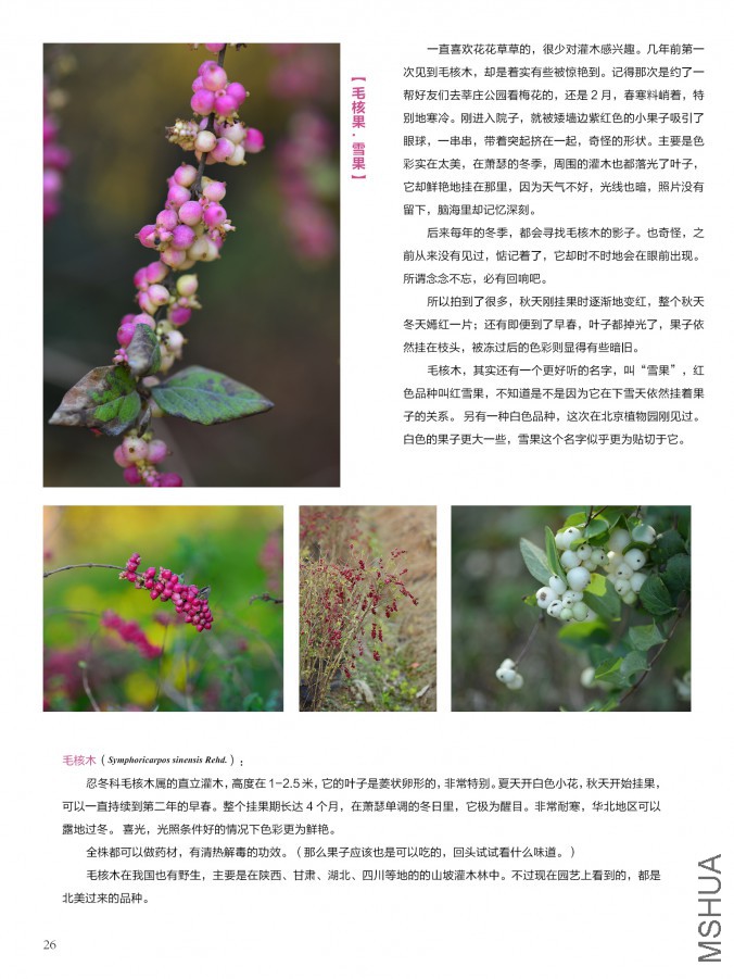 ��Ҳ��ʮ���ڣ������棩26.jpg