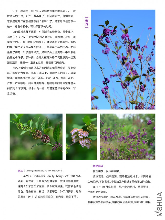 ��Ҳ��ʮ���ڣ������棩27.jpg