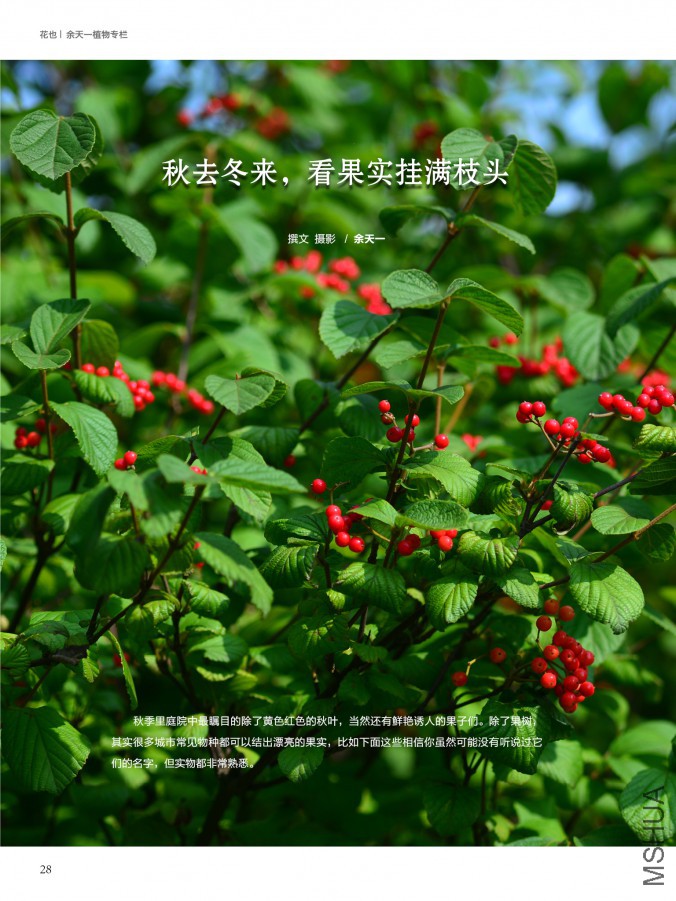 ��Ҳ��ʮ���ڣ������棩28.jpg
