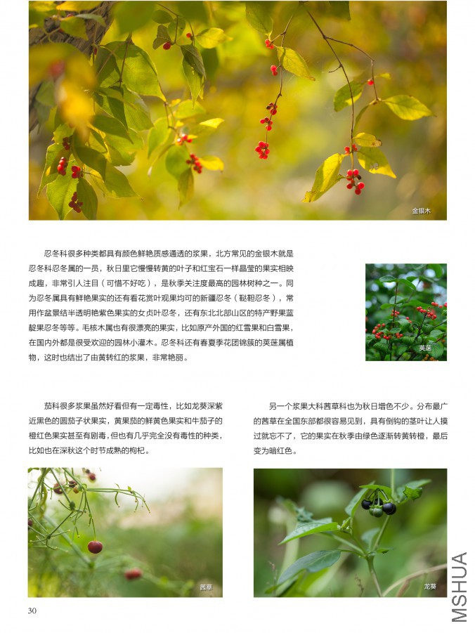 ��Ҳ��ʮ���ڣ������棩30.jpg