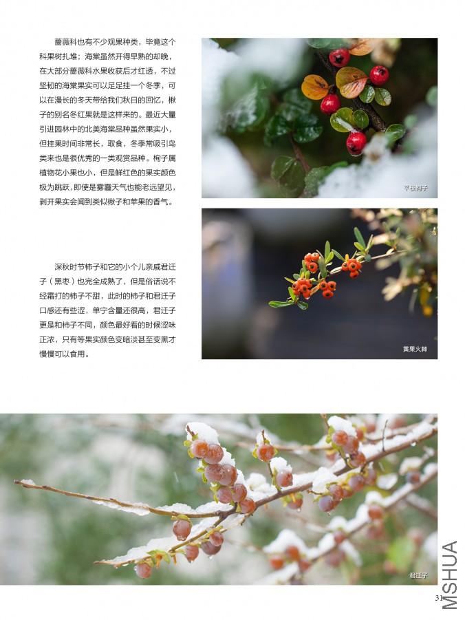 ��Ҳ��ʮ���ڣ������棩31.jpg