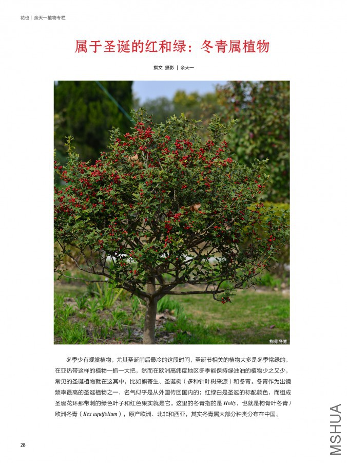 ��Ҳ��ʮ����28.jpg