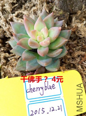 ǧ���֣�.jpg