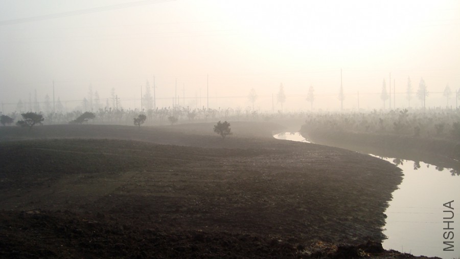 ���е���01 (6).JPG