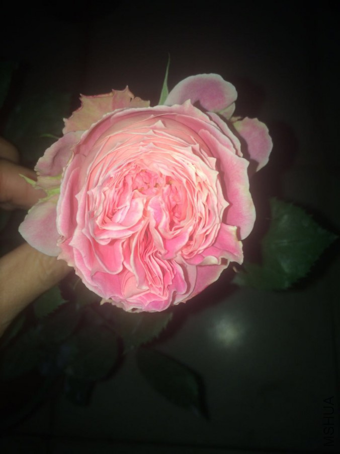 ������������