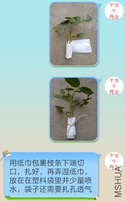 Screenshot_2015-10-18-06-44-10-1.jpg