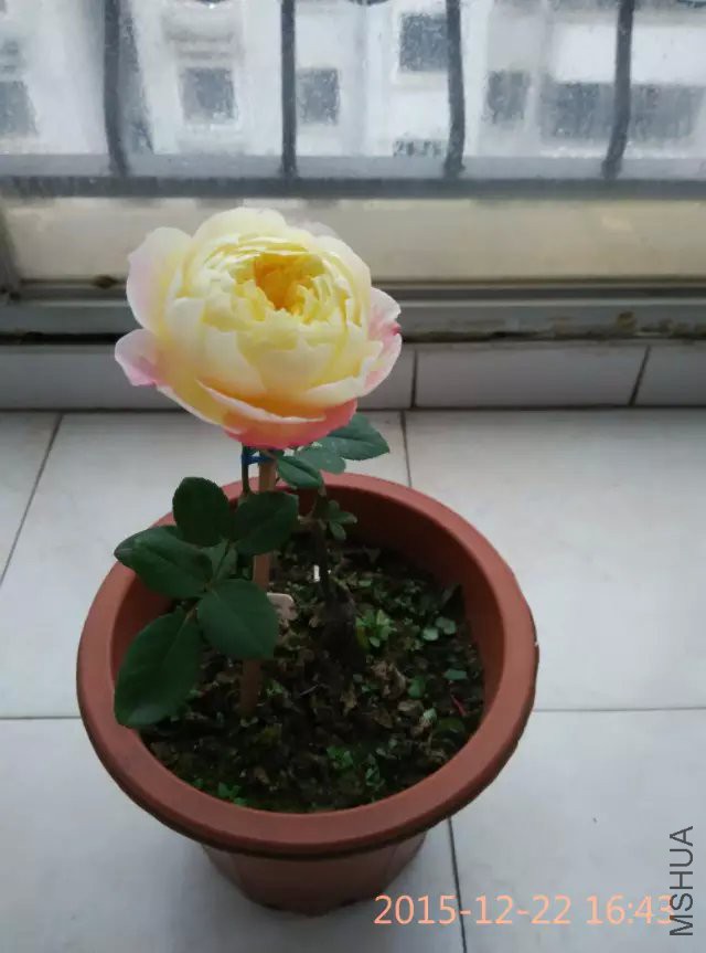 psb (9).jpg
