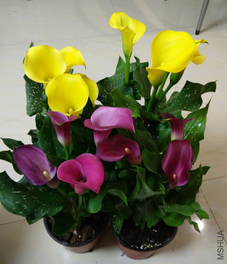 QQͼƬ20151223151107.jpg