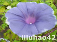 T14j27XohiXXXXXXXX_!!0-item_pic.jpg_240x240.jpg