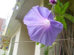T15D3yXhJhXXXXXXXX_!!0-item_pic.jpg_240x240.jpg