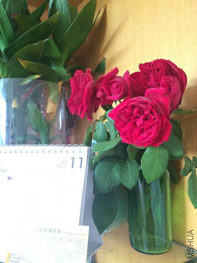 IMG_9182_meitu_8.jpg