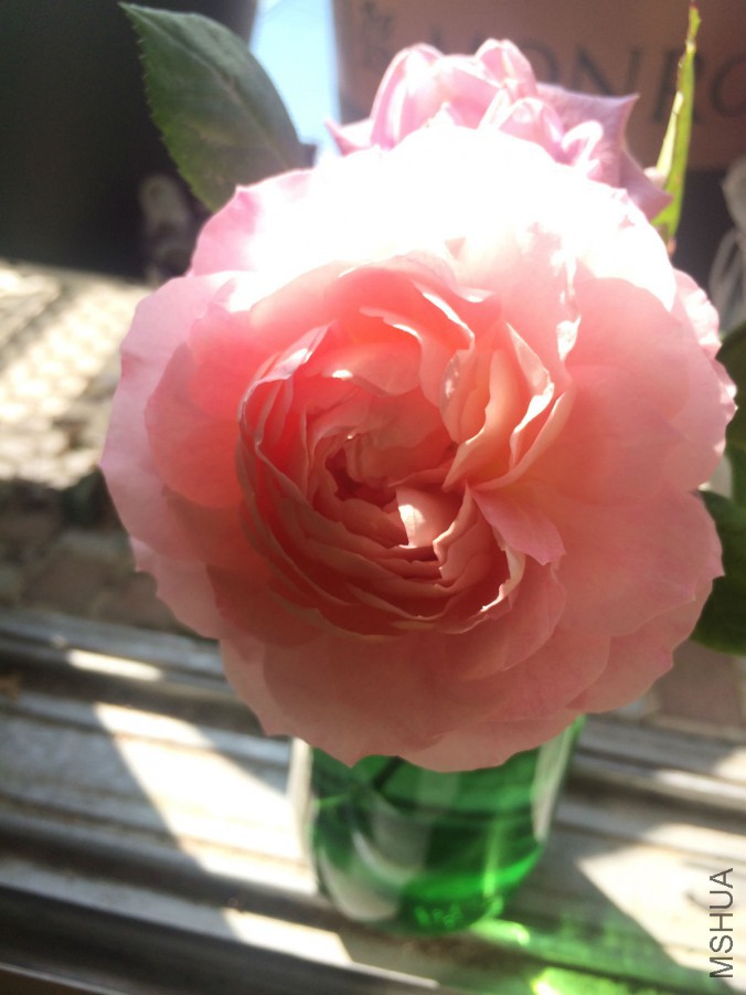IMG_9411_meitu_1.jpg