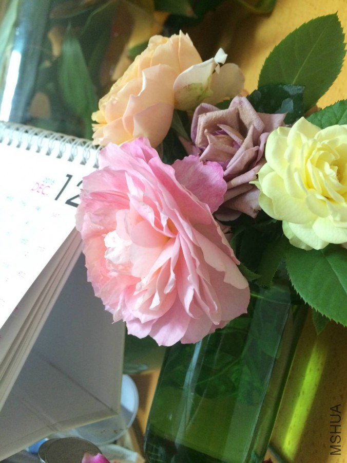 IMG_9418_meitu_4.jpg