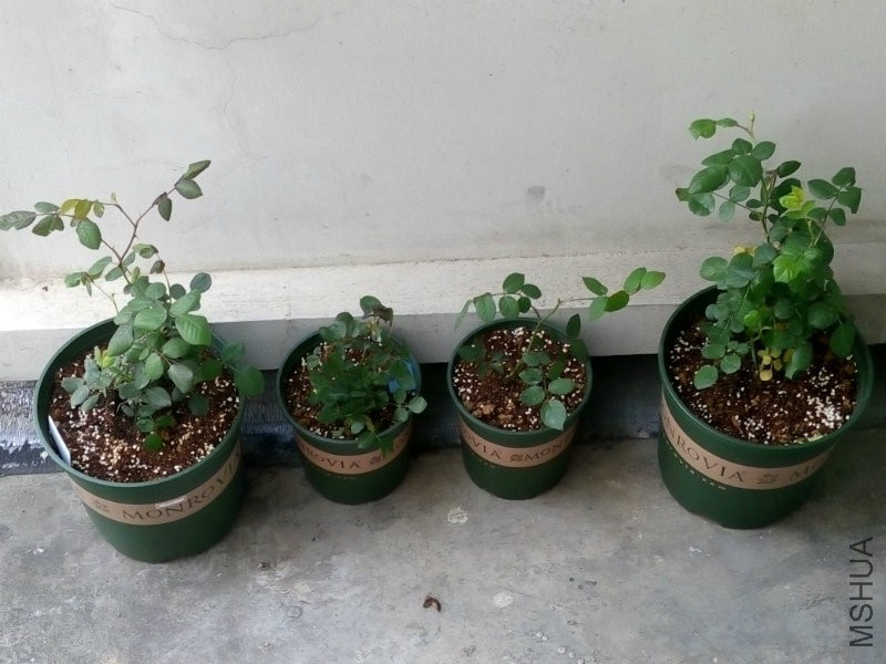 ��2�����ļ���С������ʱ���1����