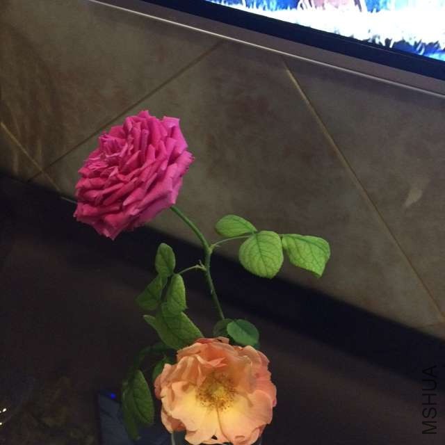 IMG_0641.JPG