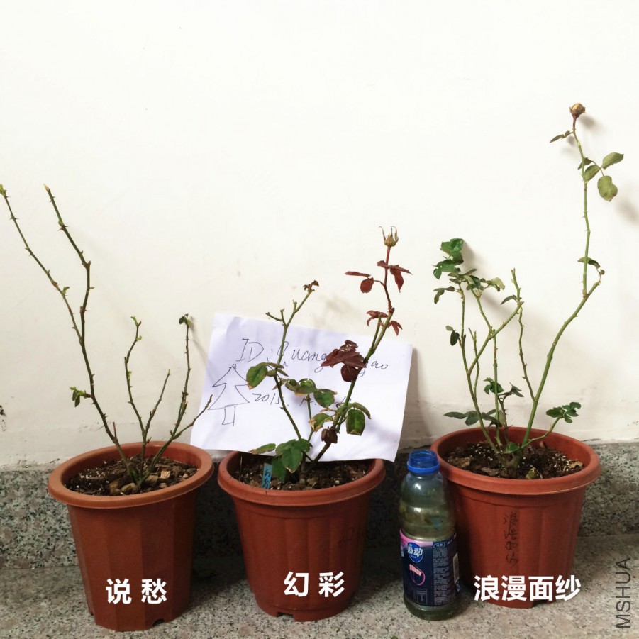 ��һ��ȫ�Ǵ���