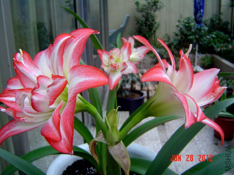 ����ȸ 3.jpg