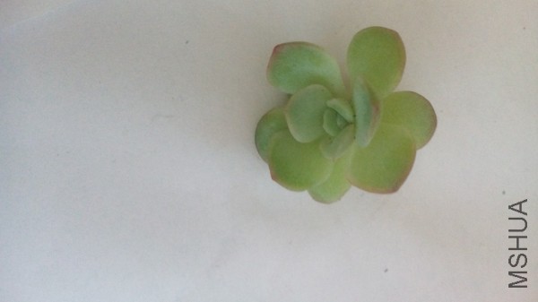 conew_1451115891099.jpg