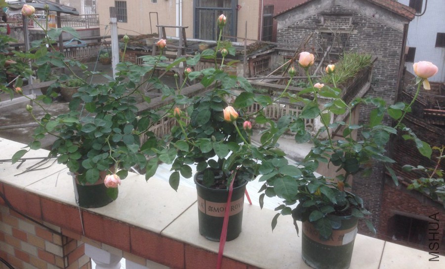 2015.3.10_����_����.jpg