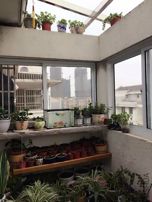 QQ图片20151228110957.jpg