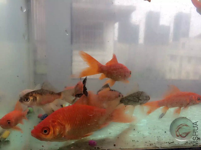 QQ图片20151228111010.jpg