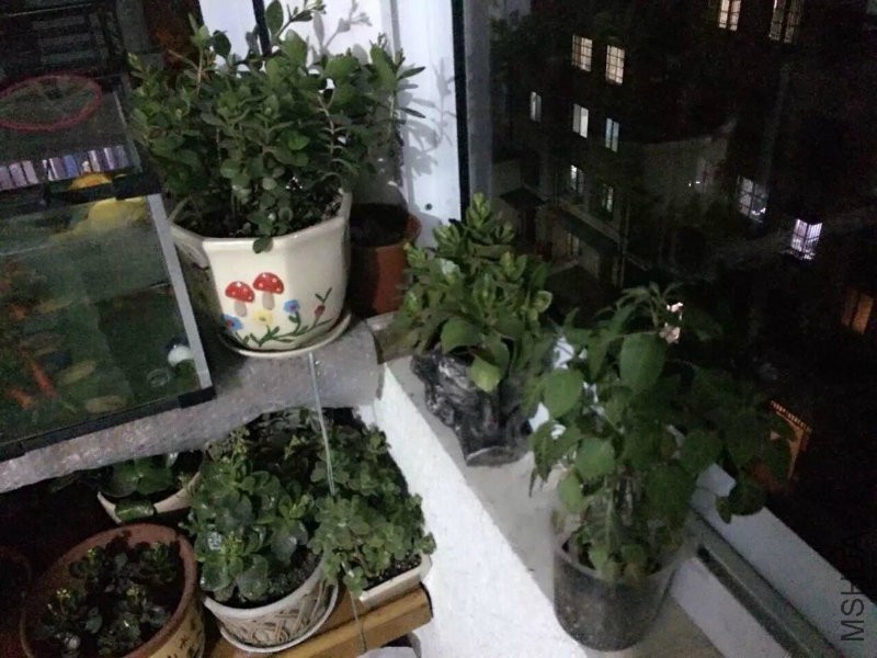 QQ图片20151228111014.jpg