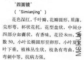 sm.jpg