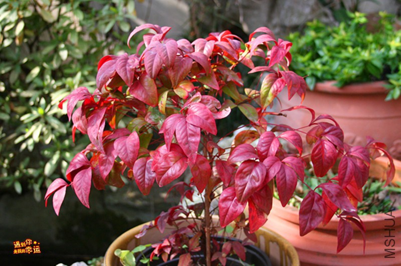 ��Ƭ 025_����.jpg