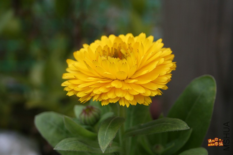 ��Ƭ 016_����.jpg