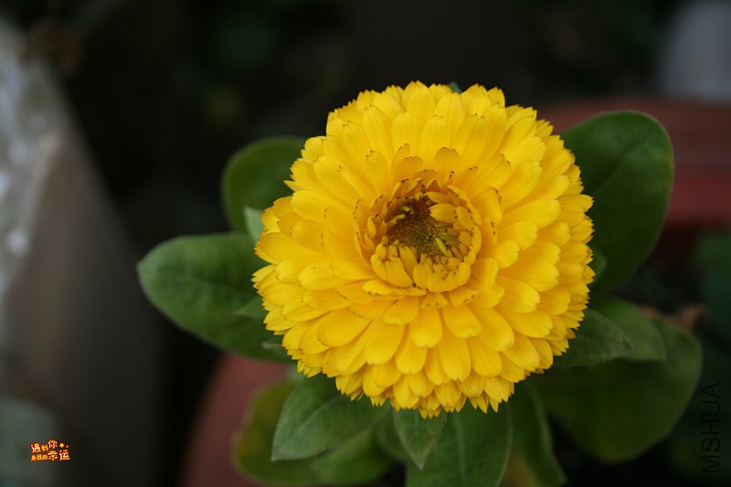 ��Ƭ 017_����.jpg