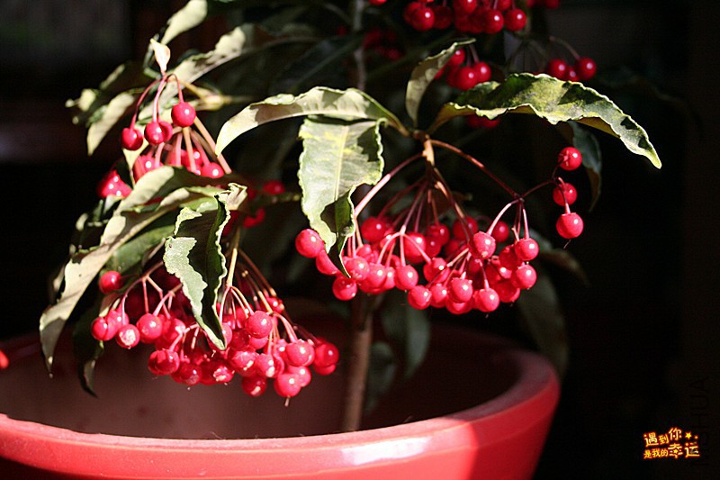 ��Ƭ 063_����.jpg