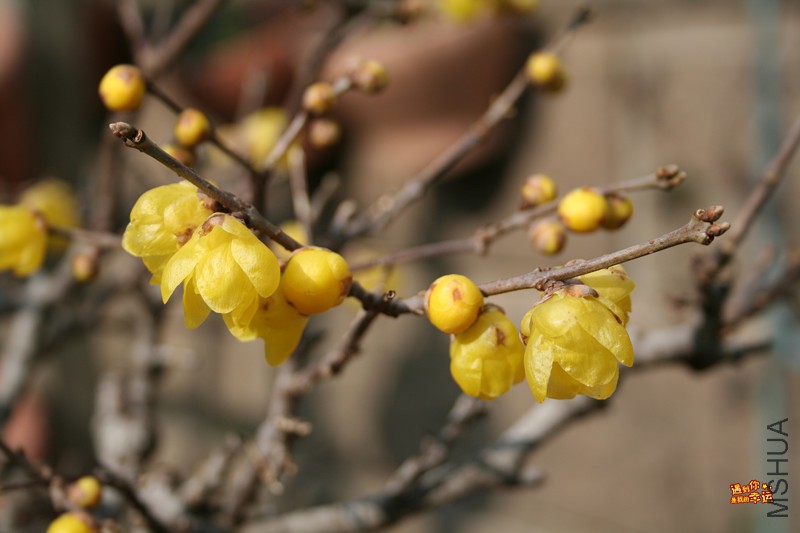 ��Ƭ 005_����.jpg