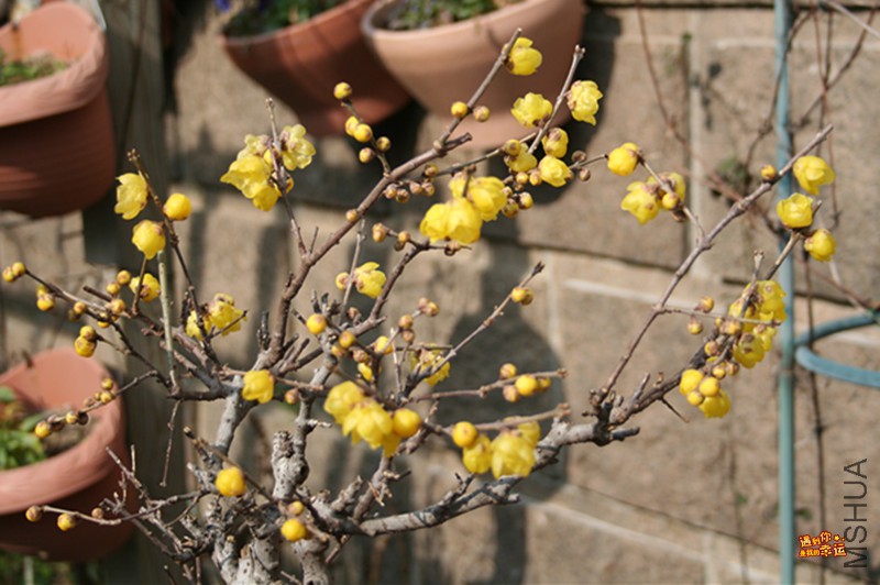 ��Ƭ 003_����.jpg