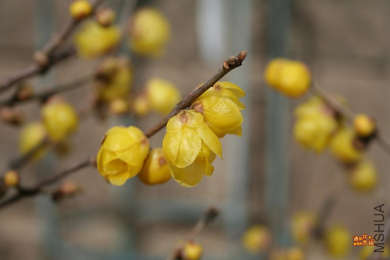 ��Ƭ 008_����.jpg