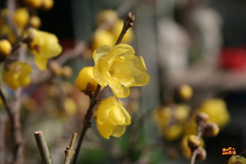 ��Ƭ 009_����.jpg